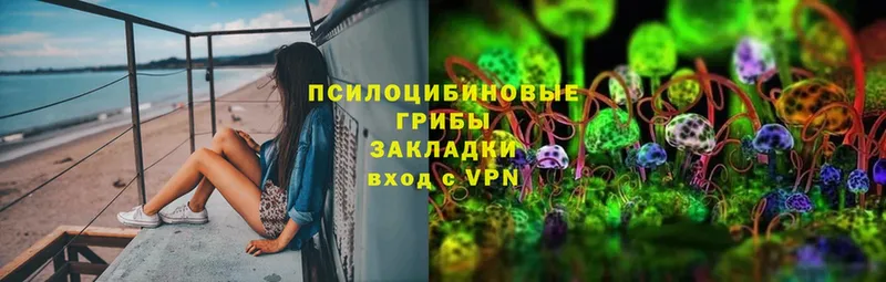 Псилоцибиновые грибы Cubensis  маркетплейс официальный сайт  Моздок 